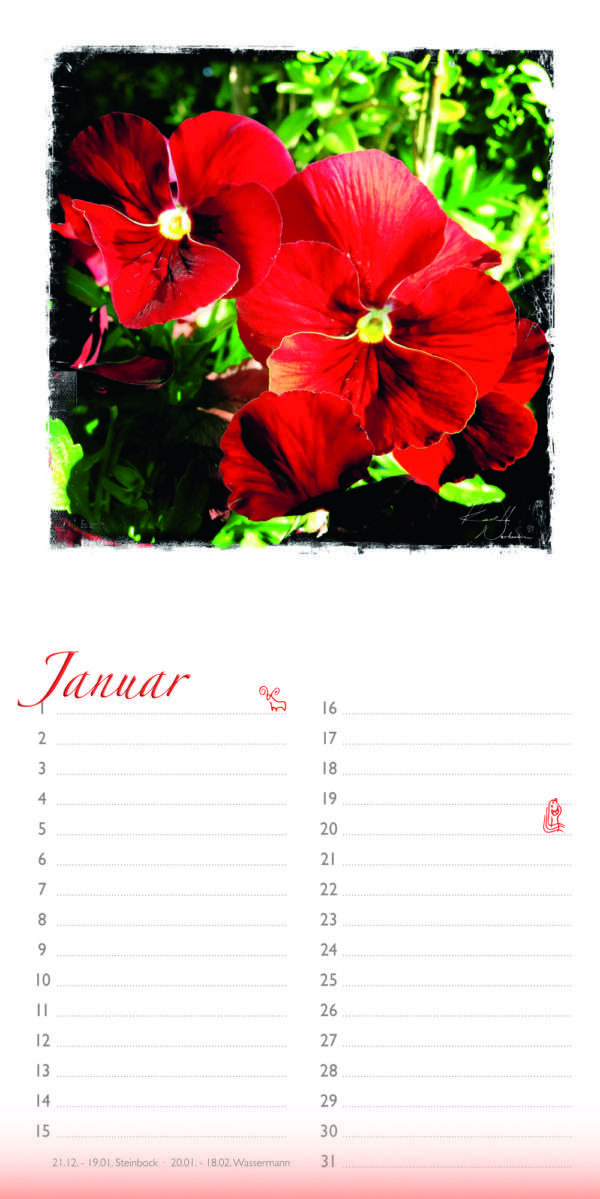 Immerwährender Geburtstage-Kalender